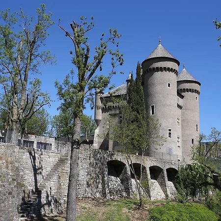 Chateau De Lugagnac Riviere-sur-Tarn Exterior photo