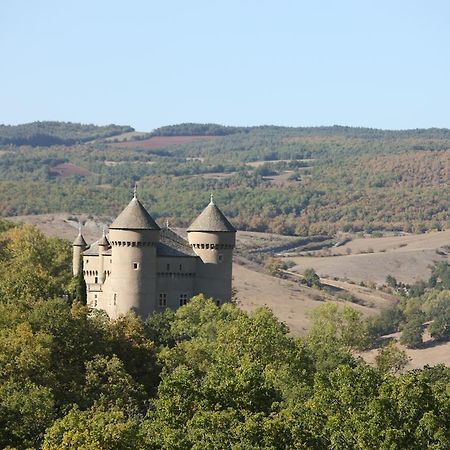 Chateau De Lugagnac Riviere-sur-Tarn Exterior photo