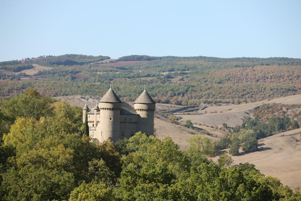 Chateau De Lugagnac Riviere-sur-Tarn Exterior photo