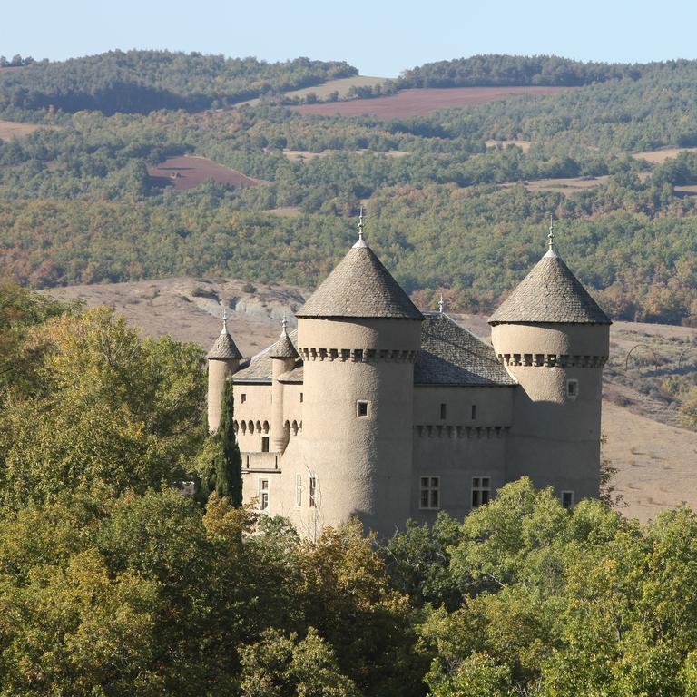 Chateau De Lugagnac Riviere-sur-Tarn Exterior photo